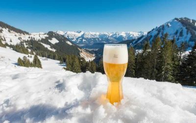 Cerveza de Trigo: Refrescante y Versátil, una Guía Completa